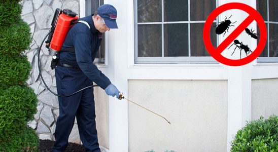 Alaçatı Tahtakurusu İlaçlama böcek ilaçlama ve haşere kontrolü — ilaclama-tr.com